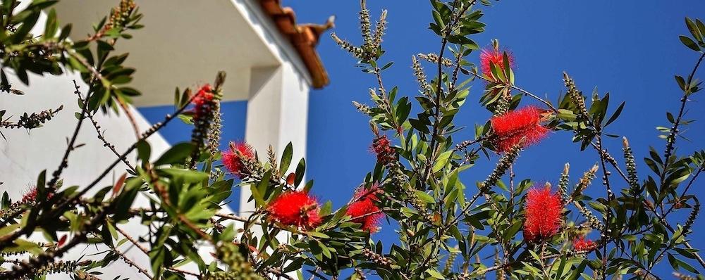 Sunny Days Hotel Tigaki